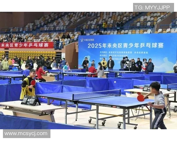 西安乒乓球队逆袭欧锦赛的辉煌历程与奋斗精神